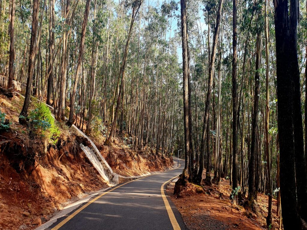 Addis Abeba - Entoto