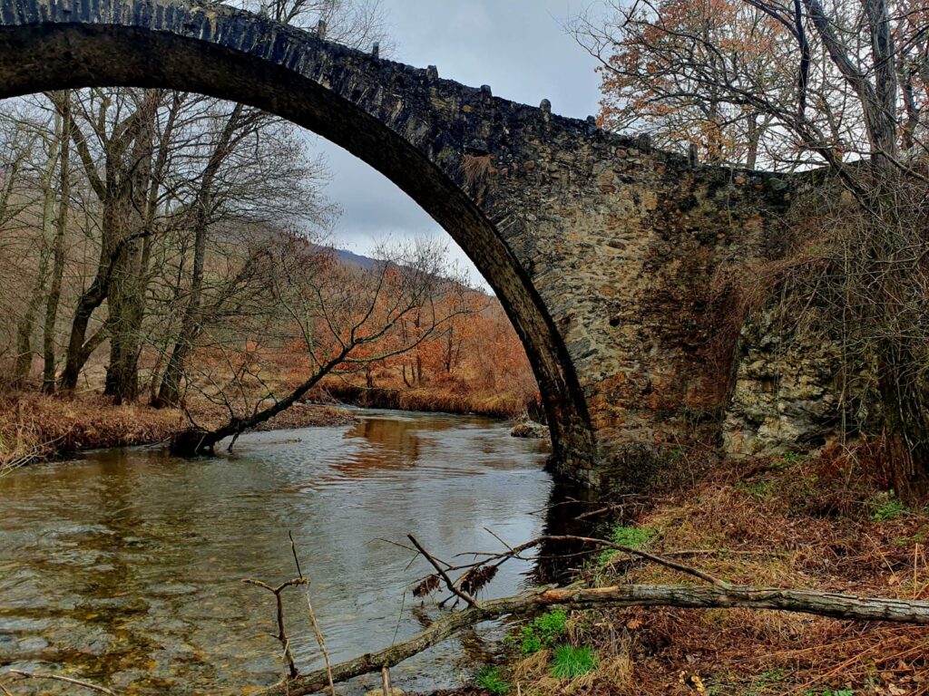 WhatsApp Image 2025-03-13 at 11.58.39 (4)