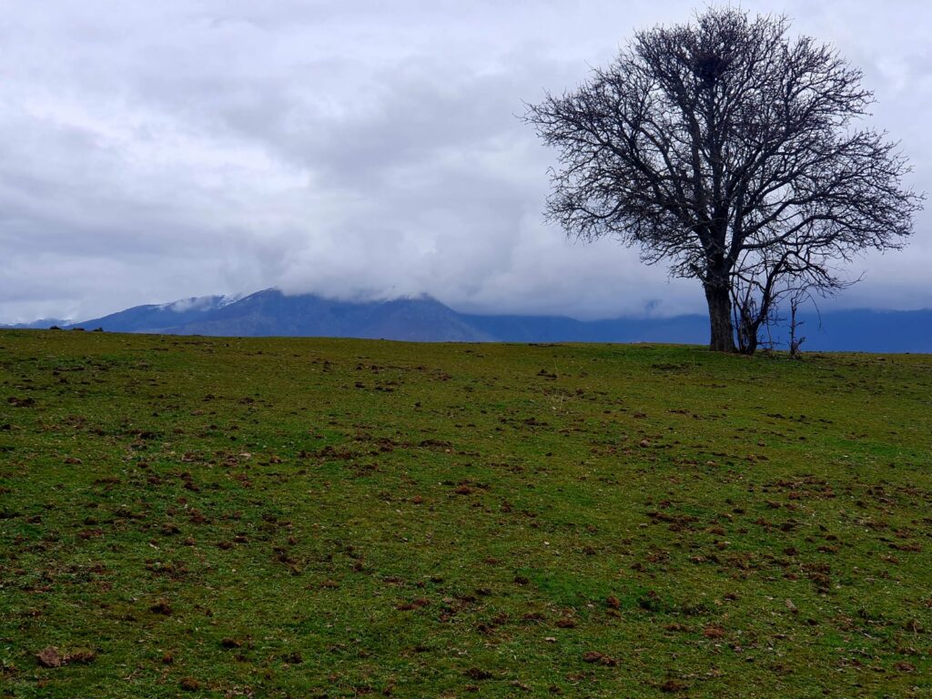 WhatsApp Image 2025-05-21 at 13.24.34